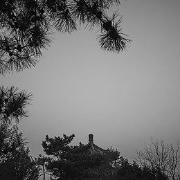 怪物唱歌放置游戏续作全家欢全平台发售！还记得那些鬼畜乐曲么